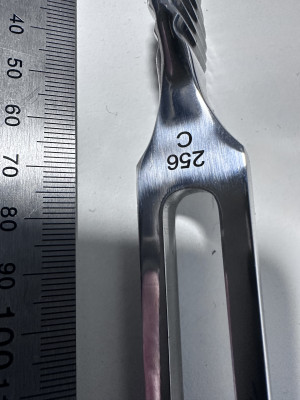 256MHz tuning fork1