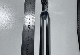 256MHz tuning fork2