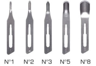 5 Gouge Blade Sizes 356x356