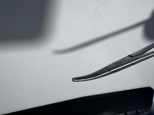 batten edwards curved forcep